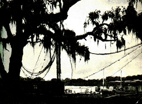 Creole Bayou Image