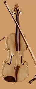 Violin